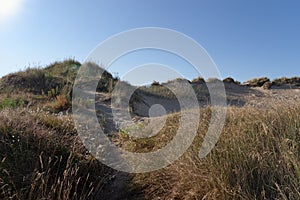 Sand dunes in Erdeven coast