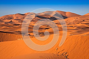 Sand Dunes of Erg Chebbi int he Sahara Desert, Morocco photo