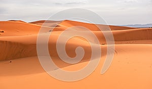 Sand dunes of Erg Chebbi, Morocco photo