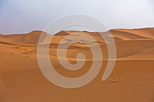 Sand dunes in Erg Chebbi at sunrise, Sahara desert, Morocco