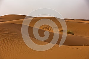 Sand dunes in Erg Chebbi at sunrise, Sahara desert, Morocco