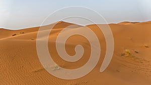 Sand dunes in Erg Chebbi at sunrise, Sahara desert, Morocco