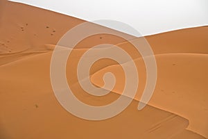 Sand dunes in Erg Chebbi before sunrise, Sahara desert, Morocco