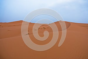 Sand dunes in Erg Chebbi before sunrise, Sahara desert, Morocco