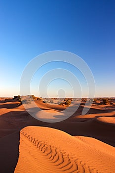 Sand dunes of Erg Chigaga