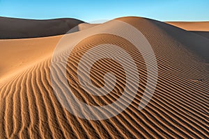 Sand dunes in Erg Chigaga