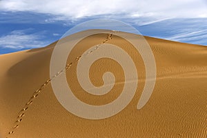 Sand dunes of Erg Chigaga in Sahara Desert