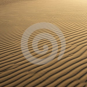 Sand dunes with evenly spaced, parallel ridges create a textured surface. The fine,