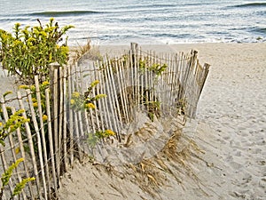 Sand Dunes and Fence