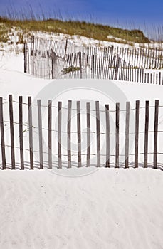 Sand Dunes and Fence at the Beach