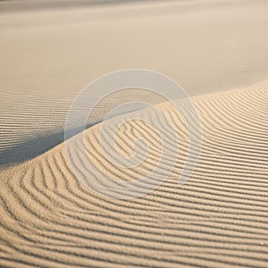 Sand dunes with finely textured ripples create a mesmerizing pattern