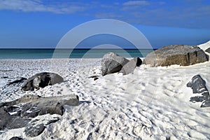 Sand dunes in Florida panhandle