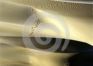 Sand dunes with footsteps at sunrise