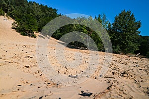 Sand pit at Grunewald forest, Berlin photo