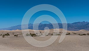 Sand Dunes in front of Mountains