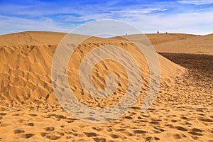 Sand dunes of Gran Canaria