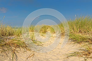 sand dunes and grass with blue sky