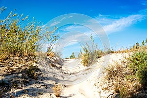 Sand dunes and grass on blue sky background