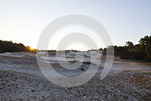 Sand dunes with grass in Lubiatowo. Coastal protected wild nature by the Baltic Sea. Sunrise with light on sand, arid landscape by