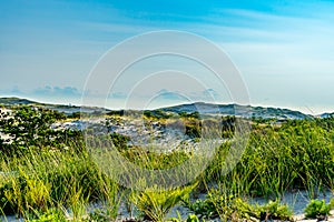 Sand Dunes and Grass of the Provincelands Cape Cod MA US.