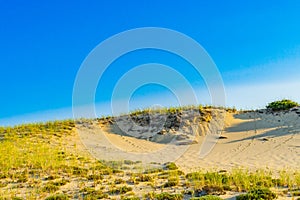 Sand Dunes and Grass of the Provincelands Cape Cod MA US.