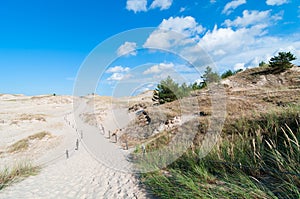 Sand Dunes And Grass Vegetation Background