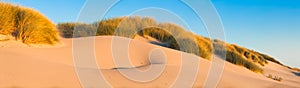 Sand dunes and grasses on a beach - panorama