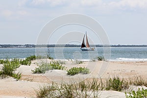 Sand dunes with grasses at the beach