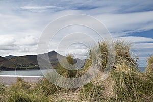 Sand dunes and grasses at Rosbehy Point, County Kerry