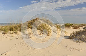 Sand Dunes on the Gulf Coast photo