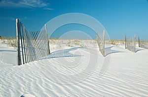 Sand dunes in Gulf State Park, Gulf Shores, Alabama