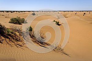 Sand dunes, Hamada du Draa, Morocco.