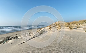 Sand dunes of Hourtin beach
