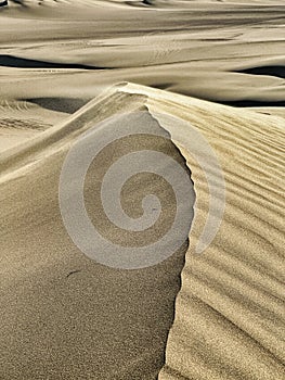 Sand Dunes At Huacachina
