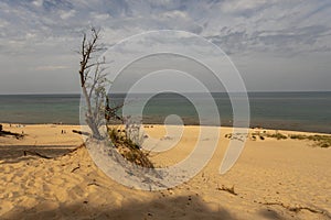 sand dunes on indiana