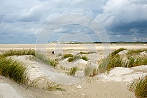 Sand dunes of Kniepsand beach, Wittdun, Amrum island, North Frisia, Schleswig-Holstein, Germany