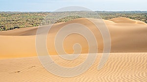 Sand dunes in the Kyzylkum desert Kazakhstan