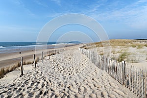 Sand dunes of Lacanau beach
