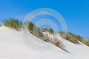 Sand dunes ladnscape Terschelling