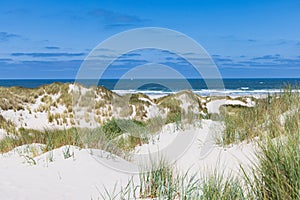 Sand dunes ladnscape Terschelling