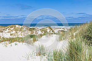 Sand dunes ladnscape Terschelling