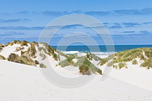 Sand dunes ladnscape Terschelling