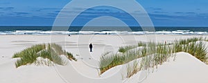 Sand dunes ladnscape Terschelling