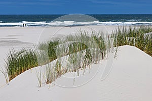 Sand dunes ladnscape Terschelling