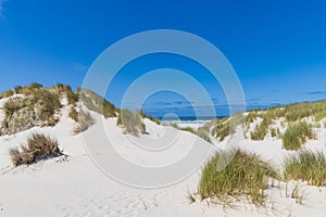 Sand dunes ladnscape Terschelling