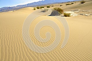 Sand Dunes Landscape 2