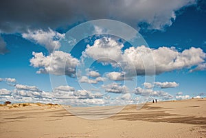 Sand dunes. landscape. Kurshskaya kosa