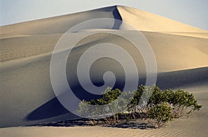 Sand dunes landscape seen at Death Valley National Park