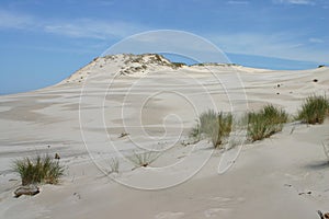 Sand Dunes of Leba