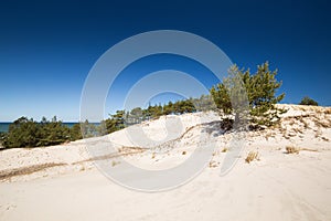 Sand dunes Leba